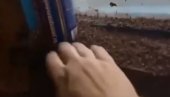 ЈЕЗИВИ СНИМАК НАЈЕЗДЕ КОМАРАЦА: Човек их лопата руком, облаци напасти након поплава на Криму (ВИДЕО)