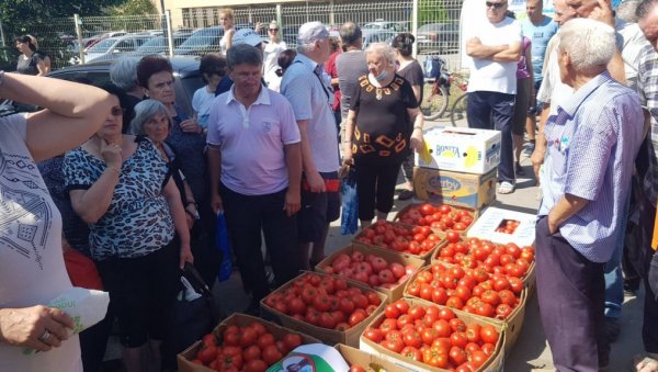 ДЕЛЕ ПАРАДАЈЗ ЗА ЏАБЕ: Лесковачки произвођачи протестују и грађанима поклањају поврће (ФОТО)