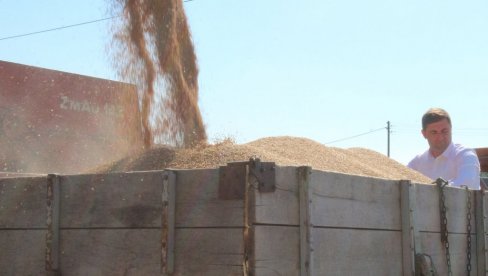 ЕРДОГАН САОПШТИО НАКОН РАЗГОВОРА СА ПУТИНОМ: Турска ће прерађивати жито из Русије и слати сиромашним земљама