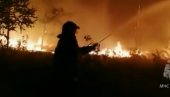 ВАТРА ШИРОМ РУСИЈЕ: Регистровано више од 550 шумских пожара