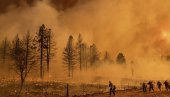 ВАТРА ГУТА И СЕВЕР ЕВРОПЕ: Финци овакве пожаре нису видели пола века, више од триста хектара претворено у пепео