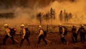VATRENE OLUJE ĆE HARATI I SRBIJOM: Stručnjaci upozoravaju - požari će postati problem broj jedan i velika opasnost za stanovništvo