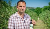 ПОКЛАЊА СМОКВЕ НАРОДУ: Великодушни гест маслинара из околине Улциња, Билала Краје