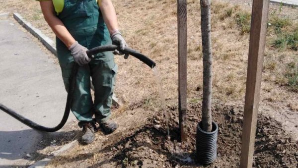 ПРОБЛЕМИ СА ВОДОСНАБДЕВАЊЕМ У ВЛАДИМИРОВЦУ: Наводњавање башти условило квар пумпе