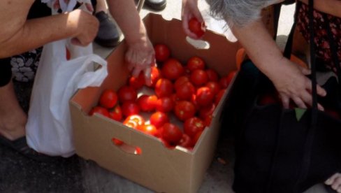 POVEĆAN PROMET POVRĆA: Najprodavaniji paradajz koji u Beograda stiže iz Leskovca