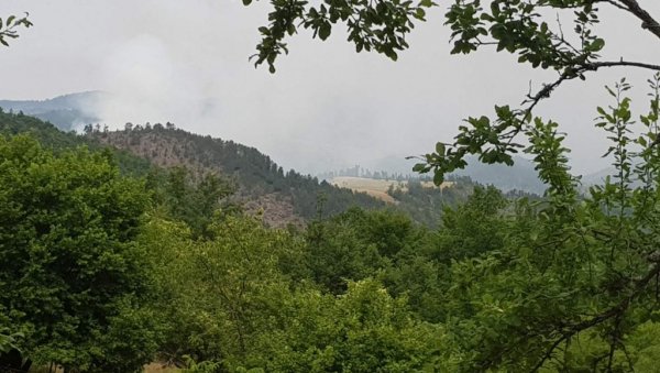 БОРБА СА ВАТРЕНОМ СТИХИЈОМ И ИЗ ВАЗДУХА: Пожар на планини Столац, неприступачан терен на граници са Србијом отежава гашење!