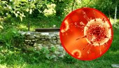 КО ЈЕ КРИВАЦ ЗА ТРОВАЊЕ ВОДЕ У ДЕЧАНИМА? Огласио се Институт за јавно здравље, ево на шта посебно упозоравају