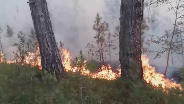 ПРОГЛАШЕНА ВАНРЕДНА СИТУАЦИЈА У ПРИБОЈУ: Шумски пожар букти данима, угрожено становништво и имовина (ВИДЕО)