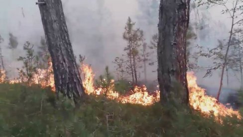 PROGLAŠENA VANREDNA SITUACIJA U PRIBOJU: Šumski požar bukti danima, ugroženo stanovništvo i imovina (VIDEO)