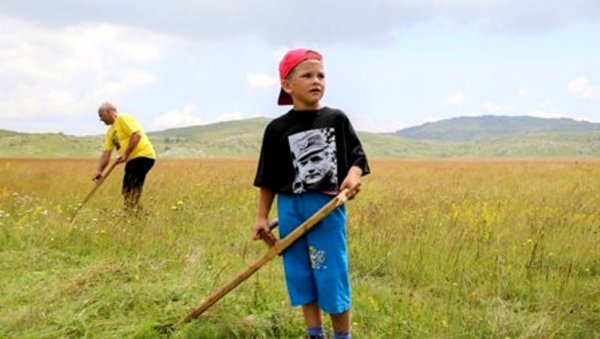 СЕЋАЊЕ НА МОБЕ: Малени Радован (5) помаже деди и чува традицију косаца изнад Калиновика
