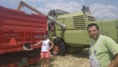 U SKLADIŠTU 200 TONA ČEKA BOLJU CENU: Savići iz Striže završili žetvu pšenice na 85 hektara, u rekordnom roku