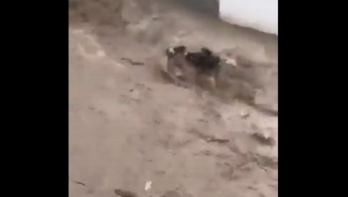 DRAMATIČNE SCENE U TURSKOJ: Poplave stigle i do ove zemlje, stradale najmanje dve osobe! (FOTO/VIDEO)