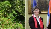 ЧЕКАЈУ ЈЕ ГРАБУЉЕ: Амбасадорку Шан Меклауд чека пуно посла у башти