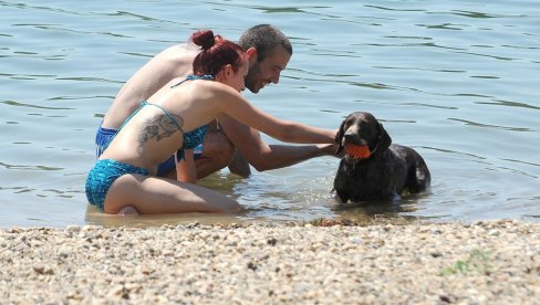 МИЛИЦИЈА РЕАГОВАЛА 133 ПУТА: Посетиоцима Савског језера смета непоштовање епидемиолошких мера