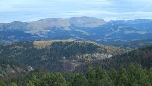 OBLOVINA BUŠI DŽEP: Drvoprerađivači uputili Vladi zahteve pre radikalizacije protesta
