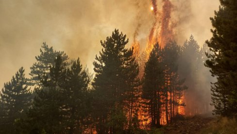ВАТРЕНА СТИХИЈА ДОШЛА ДО КУЋА: Шумски пожар бесни у Либану, човек страдао помажући ватрогасцима!
