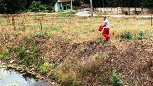 BITKA PROTIV KOMARACA U PARAĆINU: Upozorenje pčelarima da zatvore košnice