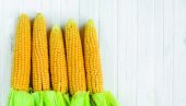 ČUVAR KRVNIH SUDOVA: Pečen ili kuvan kukuruz važan za dobar rad mozga