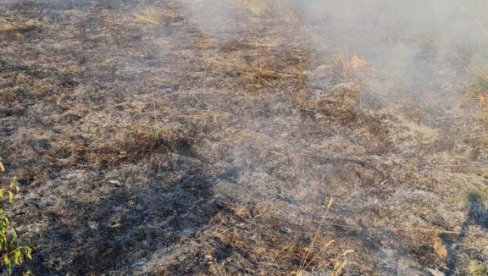 ИЗГОРЕЛО ТРИ ХЕКТАРА ПАШЊАКА: Угашен пожар изнад Старих Лединаца на Фрушкој гори (ФОТО)