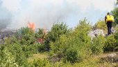 BRANILI SMO KUĆE OD VATRE SVE DO ZORE: Na teritoriji opštine Gacko izbilo više šumskih požara, vatrogasci sumnjaju na podmetanje