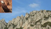 ВРЕЛИНА ГА ОБОРИЛА ИЗ ГНЕЗДА: У кањону Специјалног резервата природе Јерма спасен млади орао (ФОТО)