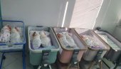OPET TRI PARA BLIZANACA: U Novom Sadu u porodilištu za dan rođeno 37 beba
