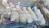 NA SVET DOŠLI I BLIZANCI – DVA BRATA: U porodilištu u Novom Sadu za dan rođeno 20 beba