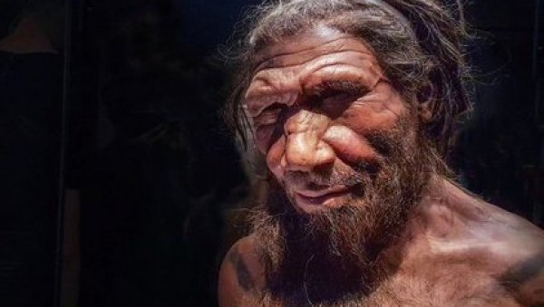 СЕНЗАЦИОНАЛНО ОТКРИЋЕ ИЗ СИЋЕВАЧКИХ ПЕЋИНА: Пронађени остаци неандерталаца стари 300.000 година (FOTO)