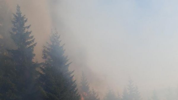 БУКТИ ПОЖАР ИЗНАД ПЕРАСТА: Ватра гори на неприступачном код Котора, сви ватрогасци Службе за спасавање се боре са пламеном!