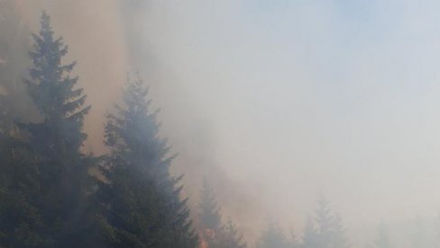 BUKTI POŽAR IZNAD PERASTA: Vatra gori na nepristupačnom kod Kotora, svi vatrogasci Službe za spasavanje se bore sa plamenom!