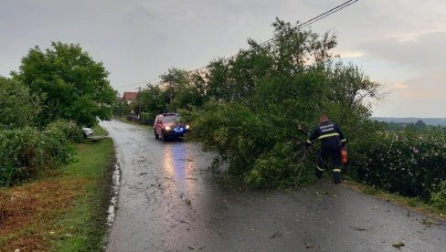 DECA OSTALA ZAGLAVLJENA:  Zbog nevremena prekinut saobraćaj kod Topole, po putu pokidani strujni kablovi i drveće i grane