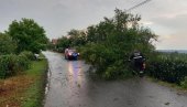 DECA OSTALA ZAGLAVLJENA:  Zbog nevremena prekinut saobraćaj kod Topole, po putu pokidani strujni kablovi i drveće i grane