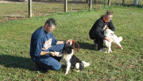 У ЗАТВОРУ ПОМАЖУ ДЕЦИ: Јединствена терапија са псима при КПЗ у Сремској Митровици, малишани са посебним потребама брину о животињама