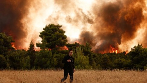U GRČKOJ VEĆ OSMI DAN BUKTI VATRA: Izgorelo više od 93 000 hektara šume