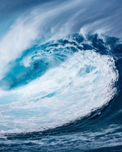 ТАМО ГДЕ СВЕТЛОСТ НЕ ДОПИРЕ: У водама Пацифика откривена досад невиђена створења (ФОТО)