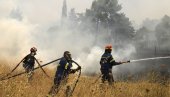 ЗАЈЕДНО СЕ БОРЕ ПРОТИВ ПОЖАРА: Украјински ватрогасци у Грчкој помажу у гашењу ватрене стихије