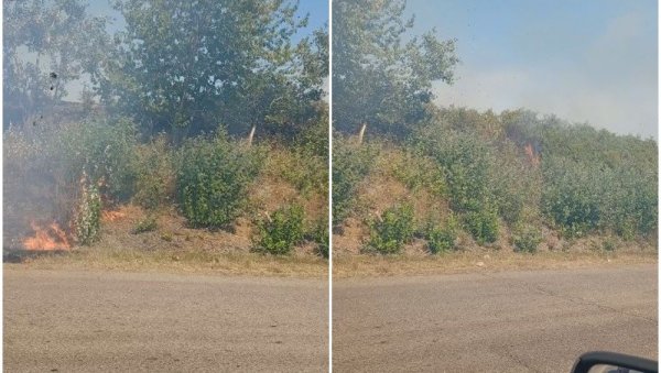 ПОЖАР КОД НЕГОТИНА: Запалила се ливада поред магистрале, гори ниско растиње (ФОТО)
