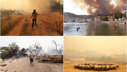 VATRA PROGUTALA EVIJU: Razorni požar se i dalje širi - apokaliptične scene iz Grčke obilaze svet (FOTO/VIDEO)