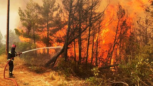 ВЕЛИКИ ПОЖАР У АЛБАНИЈИ: Ситуација је критична, ватра се приближила нафтним бушотинама