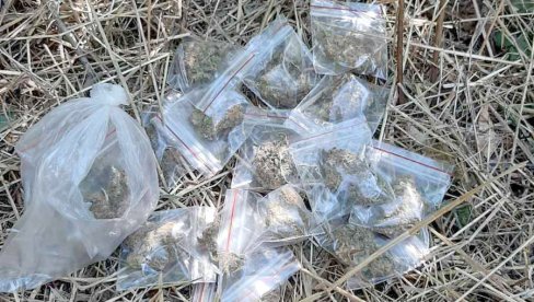 UHAPŠEN NARKO DILER: U štekovima na Košutnjaku pronađeno 68 paketića sa marihuanom (FOTO)