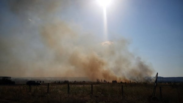 ПОЖАРИ И У ТИМОЧКОЈ КРАЈИНИ: Ватрогасци гасе ватру на подручју Кладова