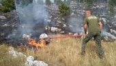 POŽAR ZAHVATIO NACIONALNI PARK DURMITOR! Novi problemi sa vatrenom stihijom u Crnoj Gori