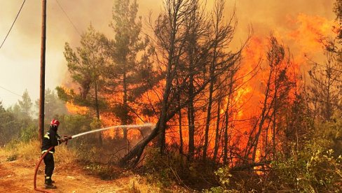 KLEČIMO PRED VAŠOM DOBROTOM: Grci srpske vatrogasce proglasili herojima borbe sa vatrenom  stihijom na Eviji