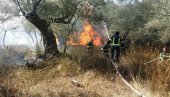 ВЕЛИКИ ПОЖАР У ПЕЧУРИЦАМА: Изгорело стотину маслина, угрожена школа и куће (ФОТО/ВИДЕО)