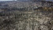 SRPSKI KONZUL U ATINI: Na Eviji požar saniran, rasplamsava se na Peloponezu