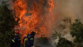 POŽARI BUKTE ŠIROM EVROPE: Vreli talas izaziva vatrene stihije