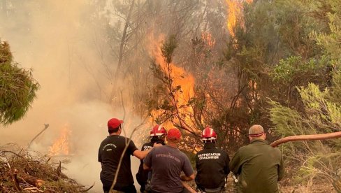 VAŠA POMOĆ NAM ZNAČI SVE: Grci ne prestaju da se zahvaljuju srpskim vatrogascima na nesebičnoj pomoći (FOTO)