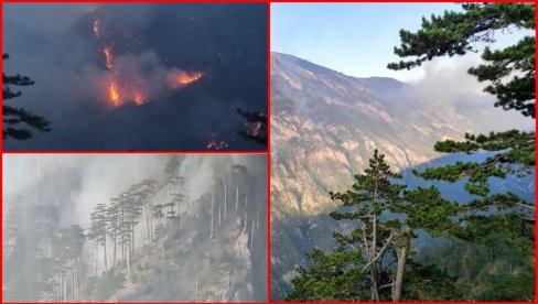 ХИТНО УПОЗОРЕЊЕ ЗА ТУРИСТЕ У ЦРНОЈ ГОРИ: Опасност за посетиоце, обрушава се нагорело дрвеће и камење у кањону Таре (ФОТО)