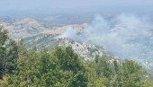 SUMNJA SE DA JE PODMETNUT POŽAR: Vatra u Nacionalnom parku Lovećen stavljen pod kontrolu