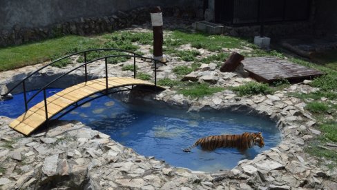 ЗА СВЕ ЂАКЕ ПРВАКЕ У СРБИЈИ: Бесплатан улаз у зоо-врт у Јагодини 2. и 3. септембра